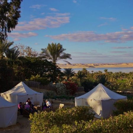 Tunis Village El-Al Fayyūm Kültér fotó