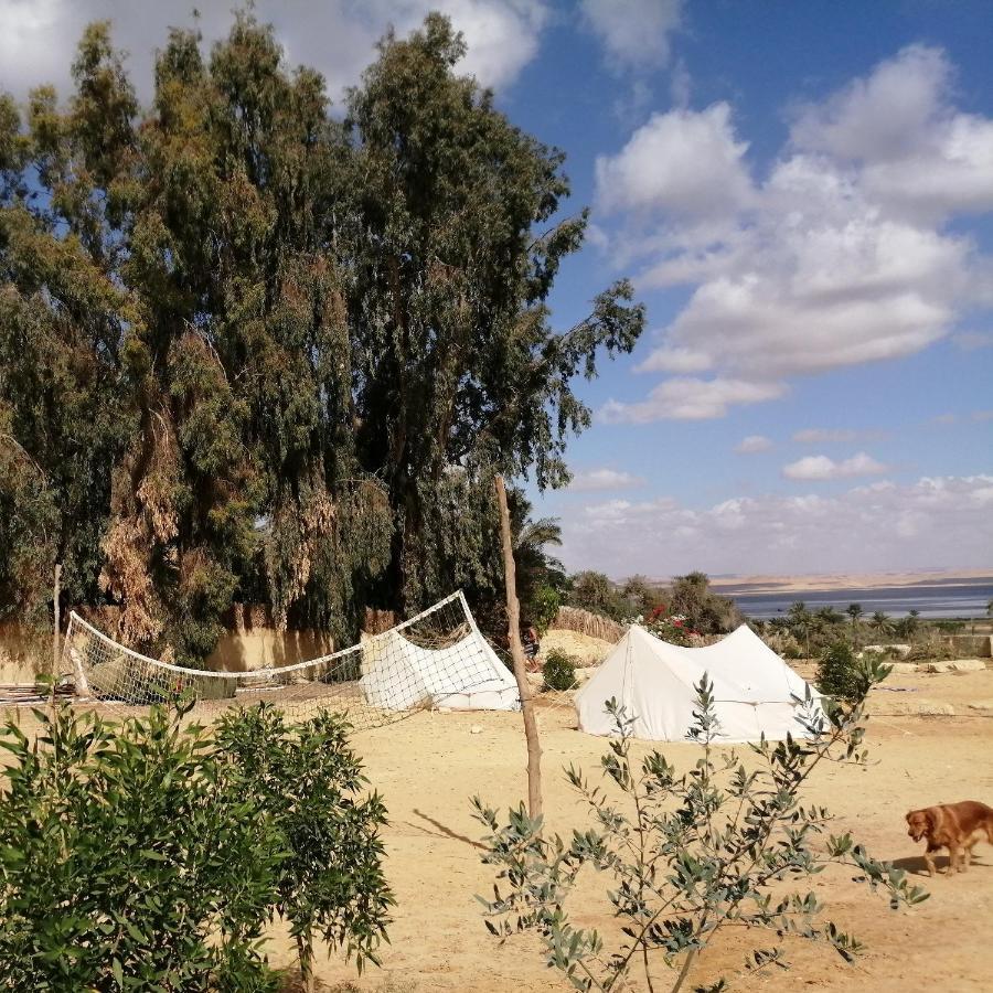 Tunis Village El-Al Fayyūm Szoba fotó